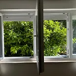 Tea 2 Split